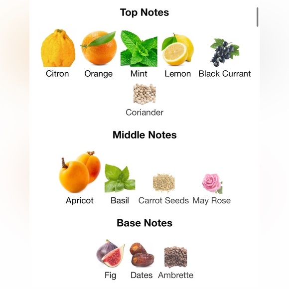 Louis Vuitton Pacific Chill EDP 2ml Sample - Picture 6 of 8